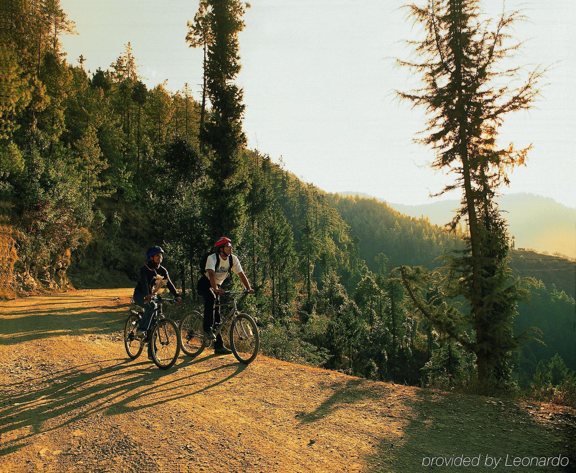 Wildflower Hall, An Oberoi Resort, Shimla Udogodnienia zdjęcie